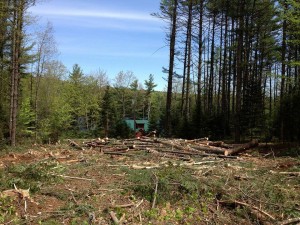 Land Clearing